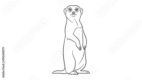 Meerkat Illustration: A simple yet captivating outline illustration of a meerkat, standing tall and vigilant, showcasing the animal's distinctive upright posture.