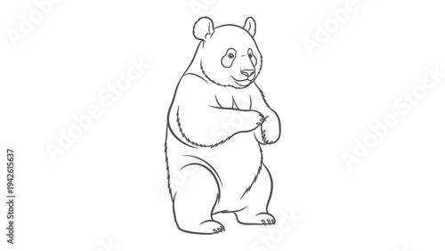 Playful Panda Outline: A charming panda bear, rendered in a simple line drawing style, stands upright, exuding a sense of gentle inquisitiveness and charm. 