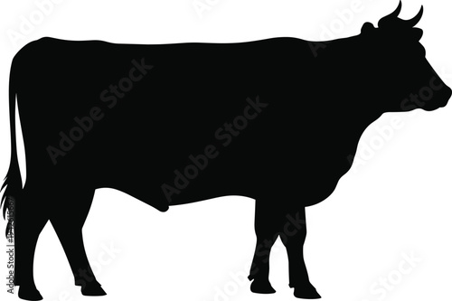 Vector graphic silhouette of a standing domestic dairy cow animal viewed from the side profile isolated on a white background.