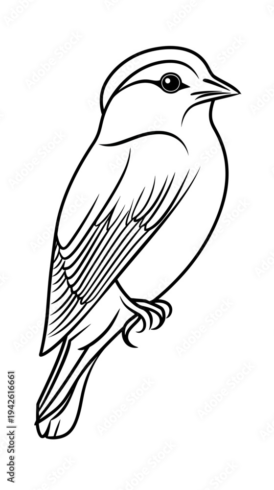 Obraz premium Minimalist black and white vector illustration of a small songbird perched side view simple outline engraving style detailed feathers and beak design