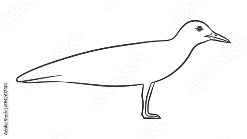 Seabird Illustration: A minimalist line drawing showcases a seabird, highlighting the graceful silhouette of the creature in simplistic detail, ideal for various design applications.