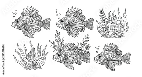 Detailed line art illustration of tropical fish and aquatic plants