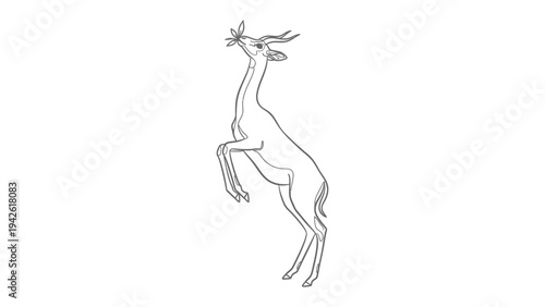 Graceful Deer in Motion: An elegant line drawing captures a deer in mid-leap, showcasing its slender form, antlers, and the effortless grace of the animal. 