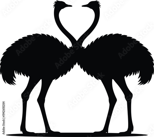 PrintOstrich silhouette pair vector illustration, African flightless bird couple with heart shaped neck pose, black wildlife animal clipart isolated for logo, tattoo, nature branding design
