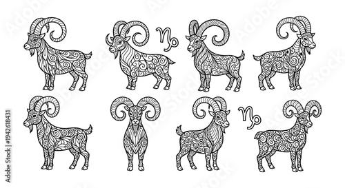 Detailed black and white illustration of various patterned mountain rams