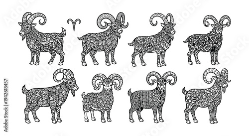 Detailed black and white illustration of various patterned mountain rams