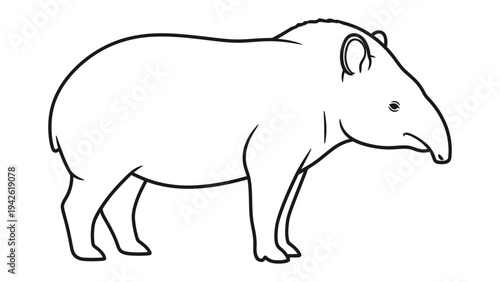 Tapir illustration : A meticulously drawn illustration of a tapir, showcasing its distinctive features. 