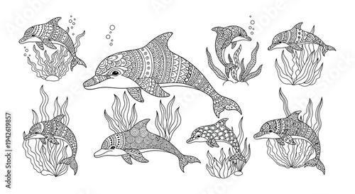 Intricate dolphin patterns and designs in a black and white illustration