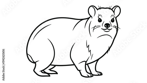 Rock Hyrax Outline Illustration: A detailed black and white illustration of a Rock Hyrax, showcasing its unique features in a minimalist style. 