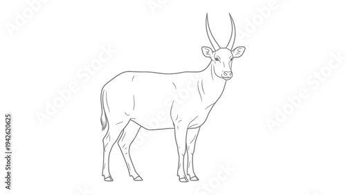Antelope Silhouette: A sleek, minimalist line drawing of an antelope.  The artwork evokes a sense of grace and elegance.