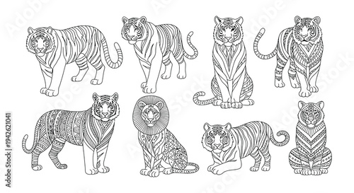 Intricate line art depicts a collection of majestic tigers in various poses