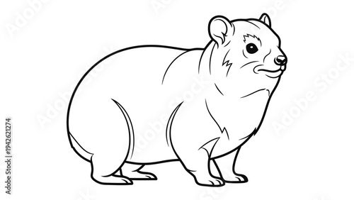 Chubby Hyrax Illustration: An adorable cartoon illustration featuring a chubby hyrax stands against a simple white background, perfect for a children's book or educational material.