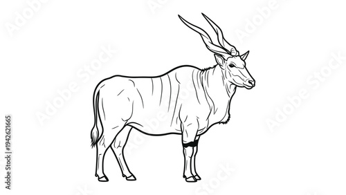 Elegant Eland Outline: A detailed black and white illustration of a magnificent eland antelope, standing gracefully against a simple backdrop.