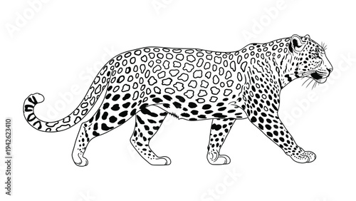 Leopard Silhouette: A bold black and white outline of a leopard strides across the scene, a testament to its grace and predatory power.