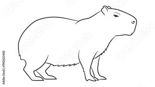 Capybara Illustration: A simple line drawing of a capybara, showcasing its distinctive rodent features and relaxed posture, perfect for educational or decorative purposes.