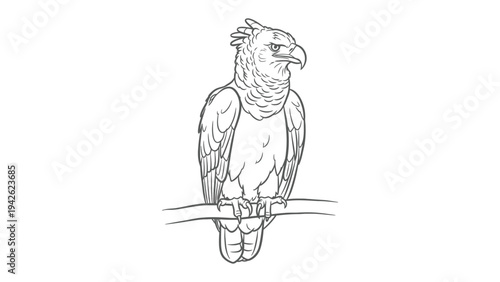 Majestic Eagle Illustration: A striking illustration of a powerful eagle, perched on a branch, its keen eyes fixed in a vigilant gaze.