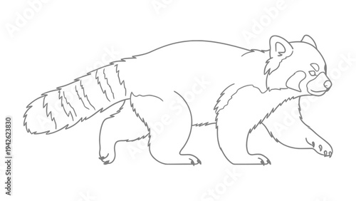 Red Panda Outline: A simple line drawing of a red panda, showcasing its distinctive bushy tail and characteristic facial markings.