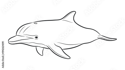 Dolphin Outline: A detailed outline of a dolphin, rendered in precise lines, showcasing the graceful form of this marine creature.