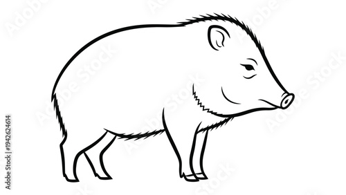 Wild Pig Outline: A simple illustration of a wild pig, perfect for educational resources, design projects, and nature-themed creations.