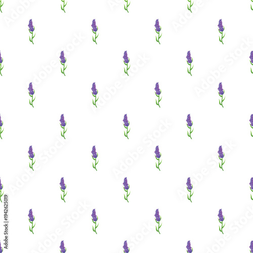 Lavender flowers forming a repeating botanical pattern on a white background