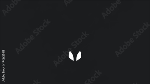 Minimalist white eyes on a black background.