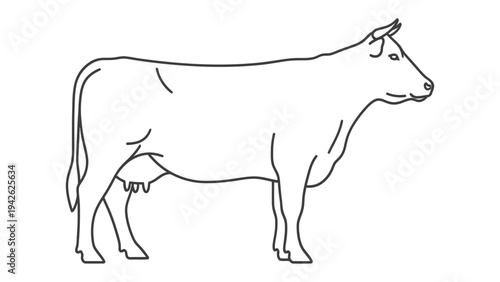 Cattle sketch: A simple and elegant line drawing of a cattle, perfect for farm-related designs and illustrations. 