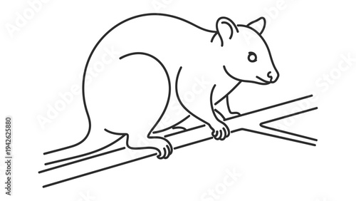 Quokka on Branch: A charming illustration of a quokka, a small marsupial native to Western Australia, perched delicately on a branch. Capturing the quokka's adorable appearance and unique habitat.