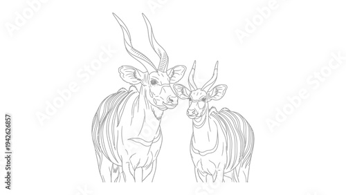 Eland Sketch: A detailed sketch captures the graceful contours of two elands, showcasing their majestic horns and serene demeanor. 