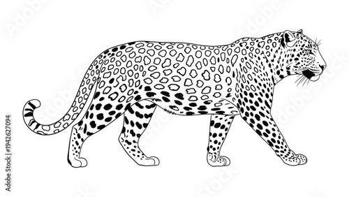 Leopard on the prowl: This detailed illustration captures the elegance and power of a leopard as it strides with graceful confidence.