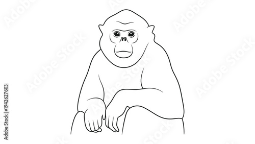 Contemplative Primate: A captivating line drawing portrays a contemplative primate, its gaze steady as it evokes a sense of introspection and animal intelligence.
