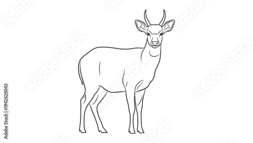 Deer Contour: A simple line drawing of a deer stands gracefully, its form defined in elegant monochrome, capturing the essence of the creature in a minimalist style.