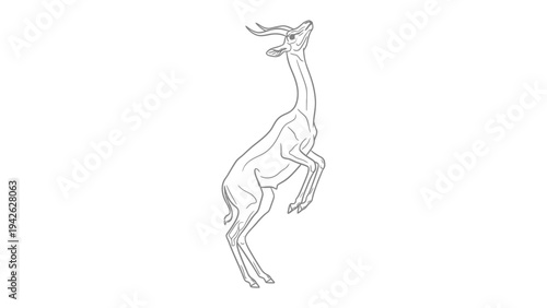 Graceful Gerenuk in Silhouette: A delicate sketch portrays a Gerenuk gracefully reaching upwards, its slender form and elegant horns silhouetted, embodying the essence of wildlife in art.
