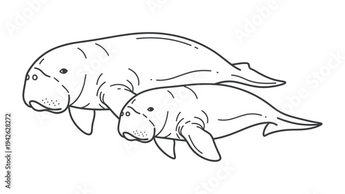 Dugong Family: A serene illustration showcases a mother dugong and her calf gracefully swimming together in their aquatic home.
