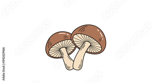 Pair of brown mushrooms with large caps and light stems growing together in a forest setting for autumn nature theme.