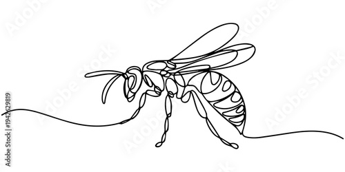 continuous one line drawing Vector illustration of a wasp in one line drawing style