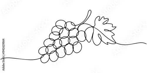 continuous one line drawing Vector illustration of a single line drawing grapevine with leaves and grapes