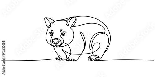 continuous one line drawing Vector illustration of a one-line drawing wombat