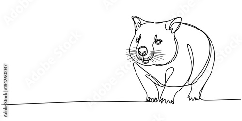 continuous one line drawing Vector illustration of a wombat in a simple line drawing style