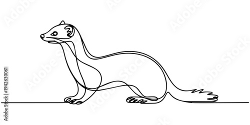 Bild auf Leinwand Vector illustration of a ferret in continuous one line drawing style