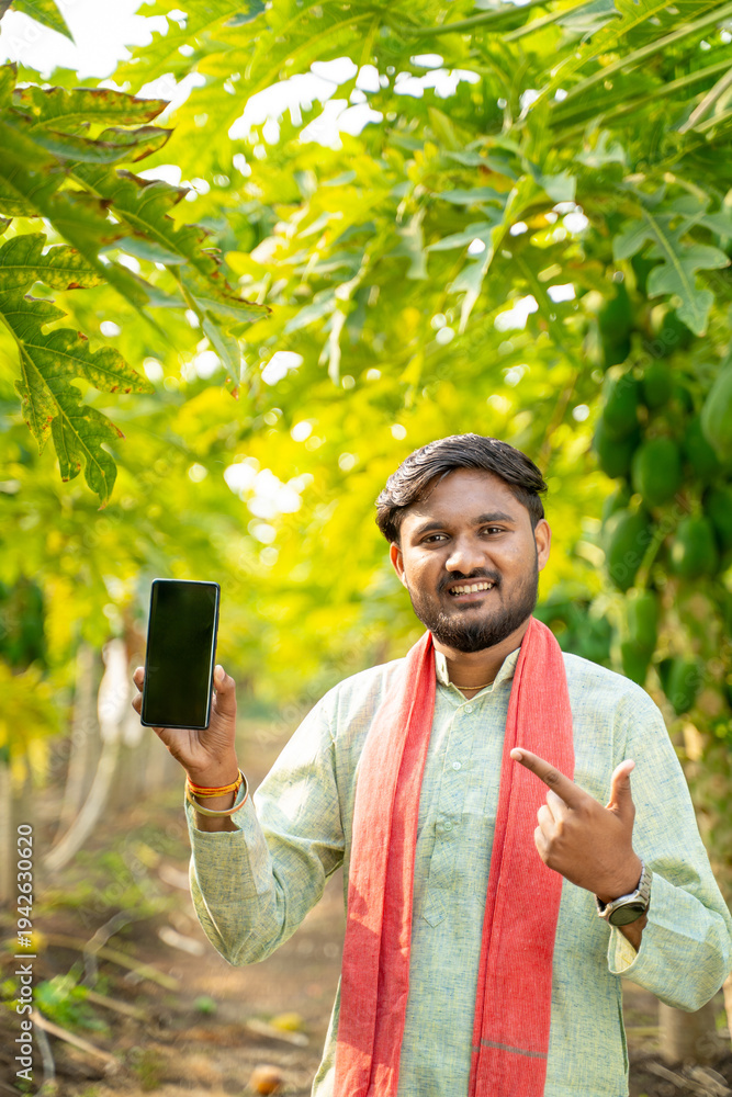 Fototapeta premium young indian farmer holding smartphone standing at papaya field