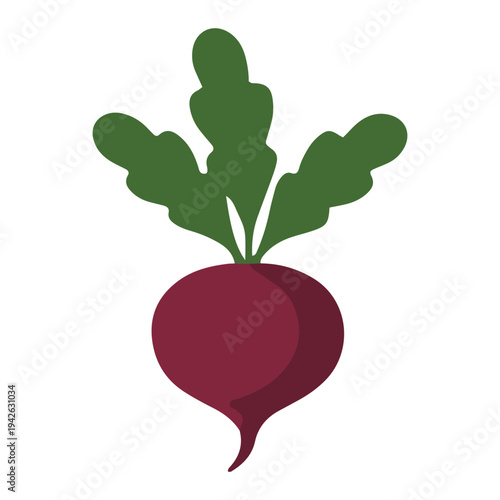 Beetroot Vegetable Icon