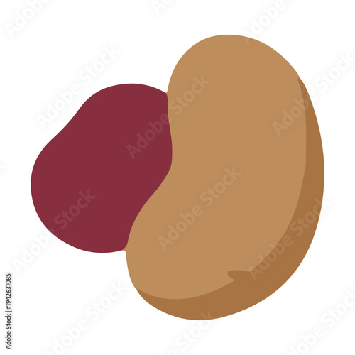 Two Beans Illustration