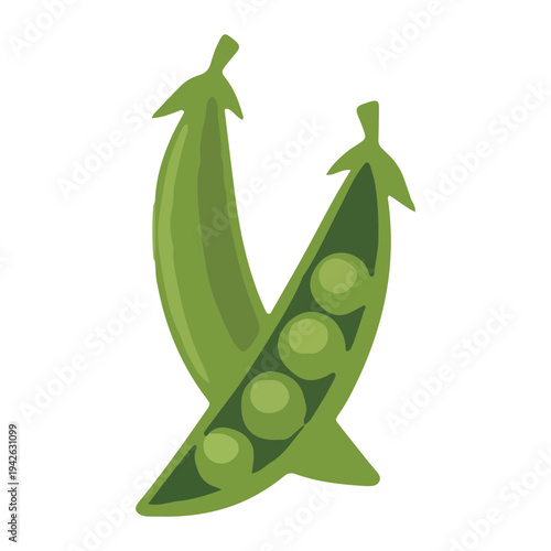 Peas in Pod Illustration