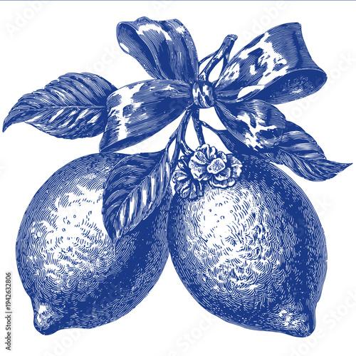 isolated clipart image of blue Lemons Bow Flower vector icon monochrome simple logo for kids on a white background