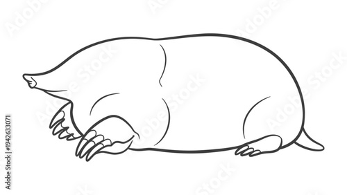 Mole outline: A simple, clean outline of a mole, showcasing its unique features and form.