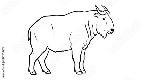 Takin Outline Illustration: A detailed outline of a Takin, a unique and sturdy mountain-dwelling mammal, standing in profile, ready to be colored.