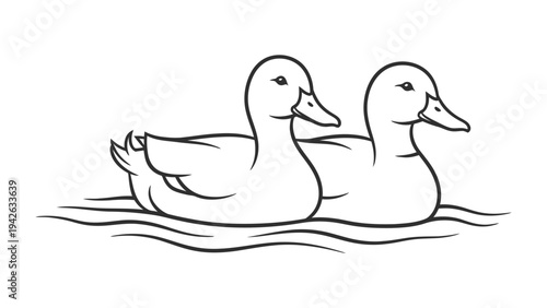 Ducks in the Pond: Two elegant ducks float serenely upon tranquil water, their simple forms captured in a clean, minimalist illustration, perfectly embodying the essence of peace and nature.