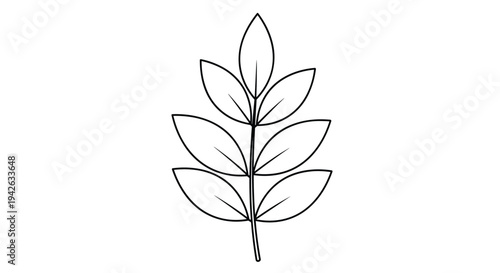 Minimalist black and white line art drawing of a compound leaf with multiple leaflets arranged on a central stem.
