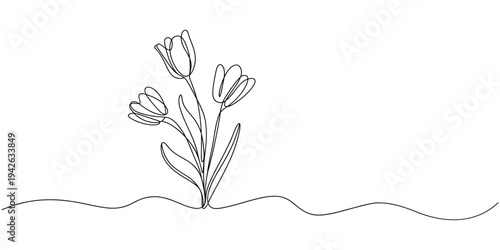 Tulip single line drawing. Abstract flower continuous one line illustration. Minimalist line art tulip. Continuous line drawing of flower tulip. Tulip flower with leaves. Vector illustration