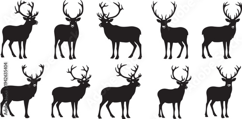 Silhouette of multiple deer with antlers on white background